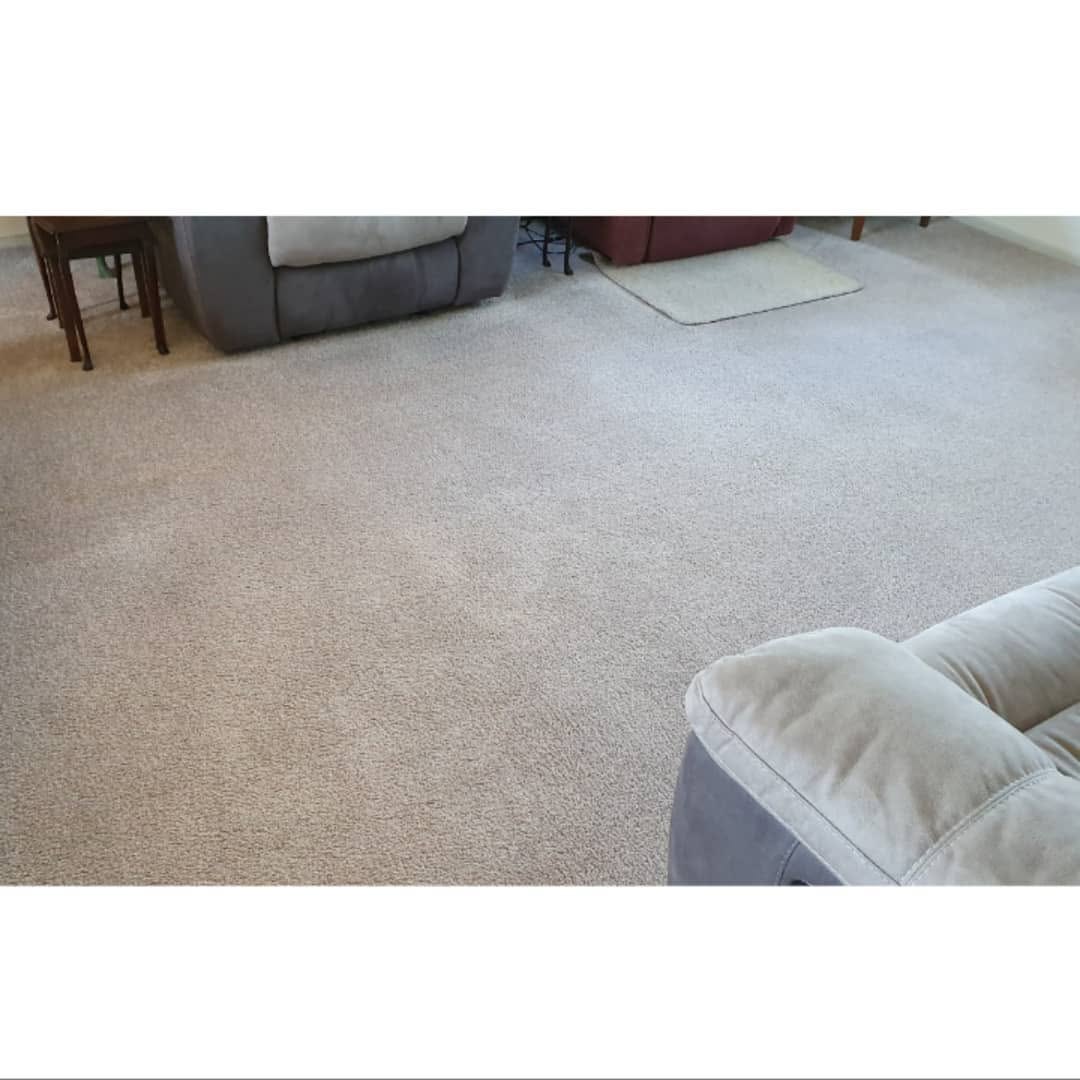 Carpet cleaning after