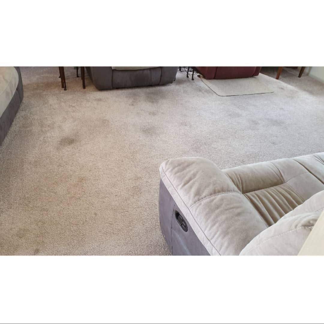 Carpet cleaning before
