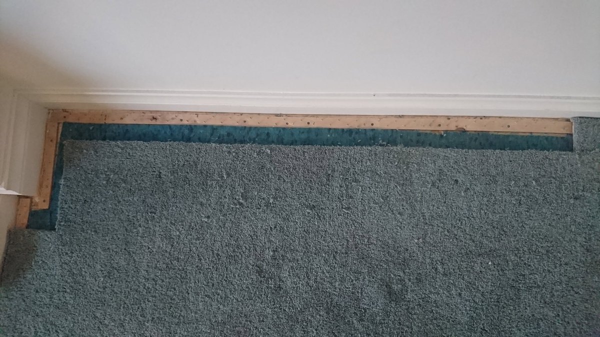 Carpet moth damage before