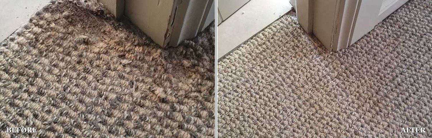 Carpet rot restored: before and after