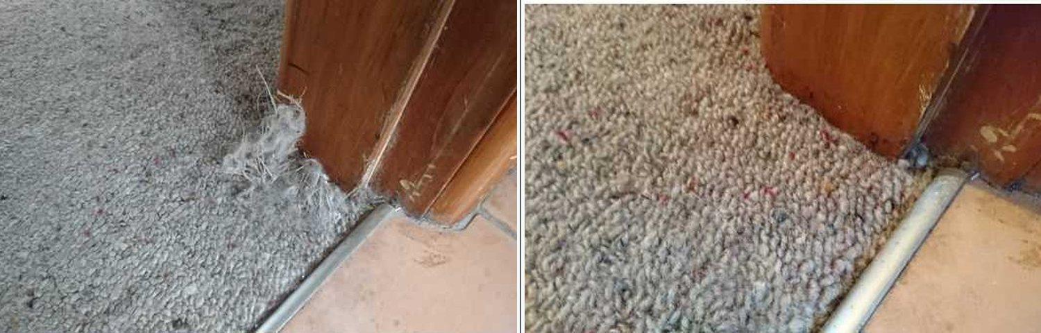 Pet damage repair 2: before and after