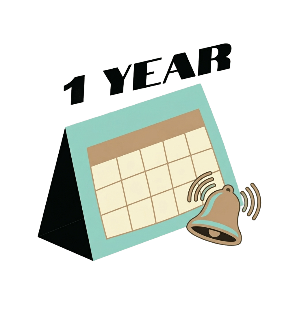 Calendar graphic: clean your carpets once per year